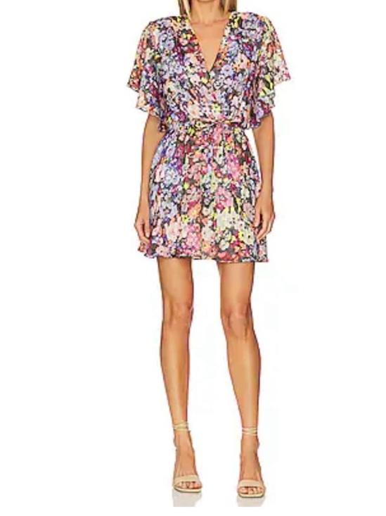 Amanda Uprichard Dresses & Skirts - Amanda Uprichard Lucretia Mini Dress in Zahra Fleur Size XS